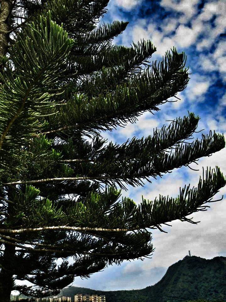 1010396_10201536765291874_330615210_n