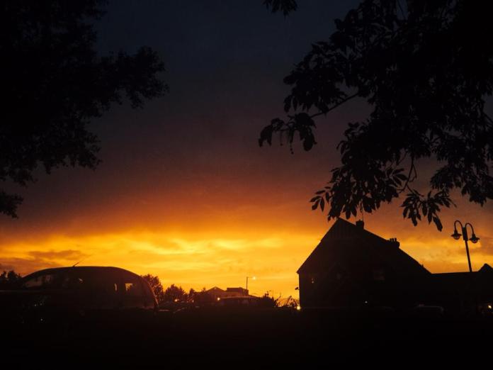 10320501_10204198927924276_6917754333139955405_n