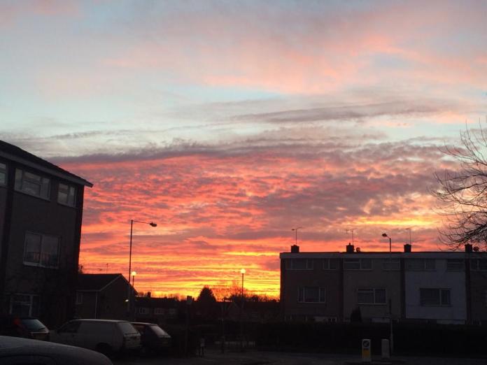 10458556_10204198941884625_6968822363185363124_n