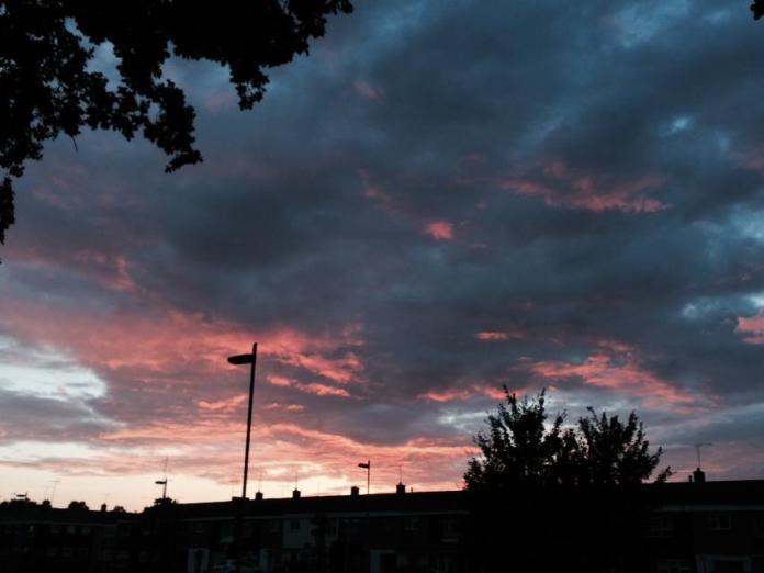 10460272_10204198931804373_5510426613324892983_n