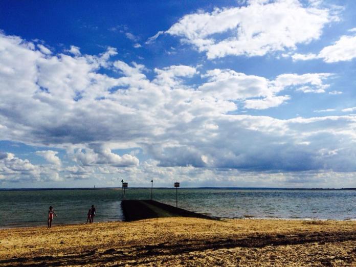 10487363_10204198930804348_5439172104010169976_n