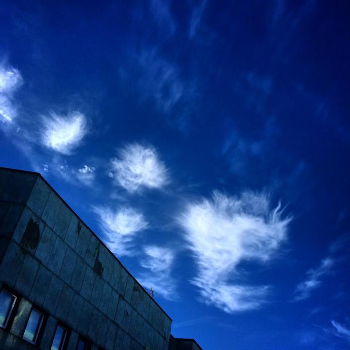 10494785_10204198940404588_1675169994921032658_n