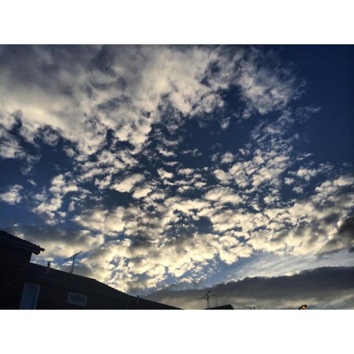 1660687_10204198929244309_1137028184388510116_n