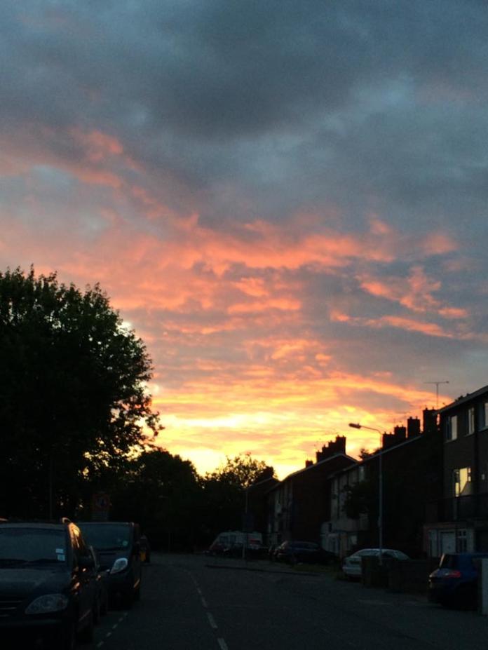 1902821_10204198931604368_6848827456641097335_n