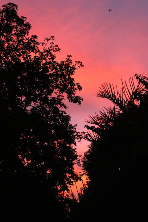 318759_2259541098890_2216576_n