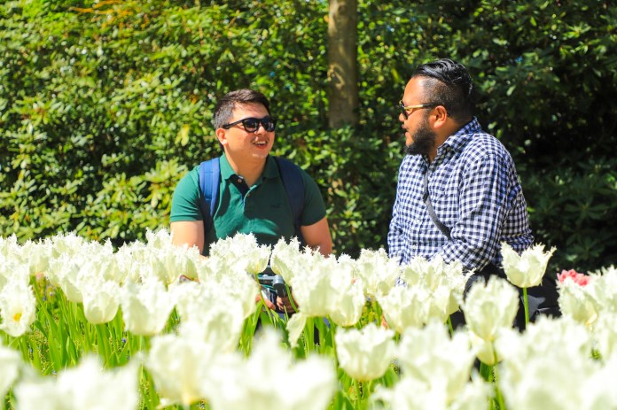 006d924f-c613-4dd4-8d23-d54cf3f268fd