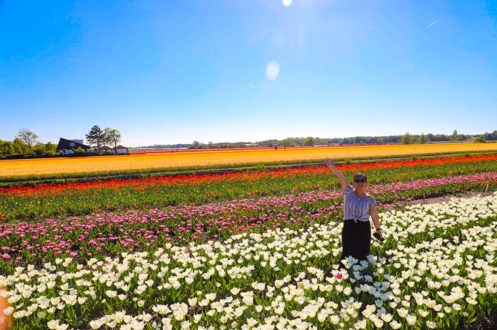 376d2054-964b-4494-94ac-0f95021b2121