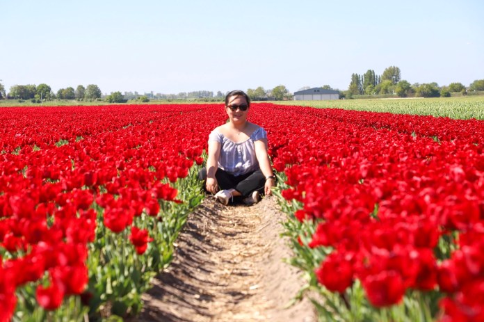 8c166192-d0f0-4355-b414-1c4aadf814ed