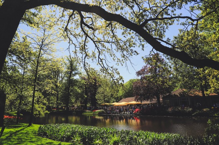 a5cf6ae9-96ec-45b6-bdda-84f70895761b