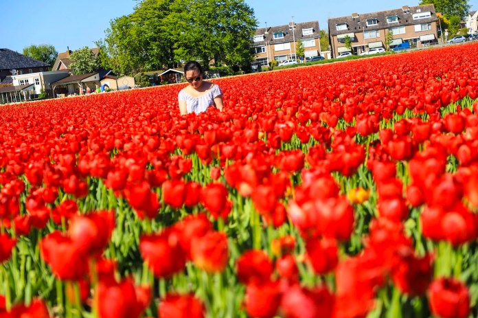 c0d34174-679a-4d17-9596-ec9d094807bd