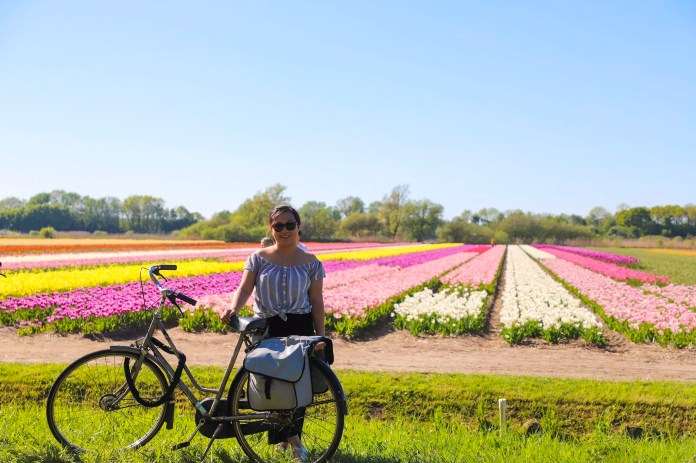 d8d0eae9-ba4b-4c3b-80b7-05c9e4e94fd8