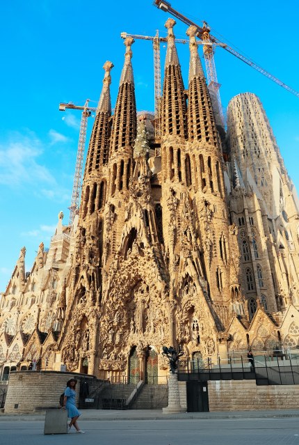 7650996784_img_24071